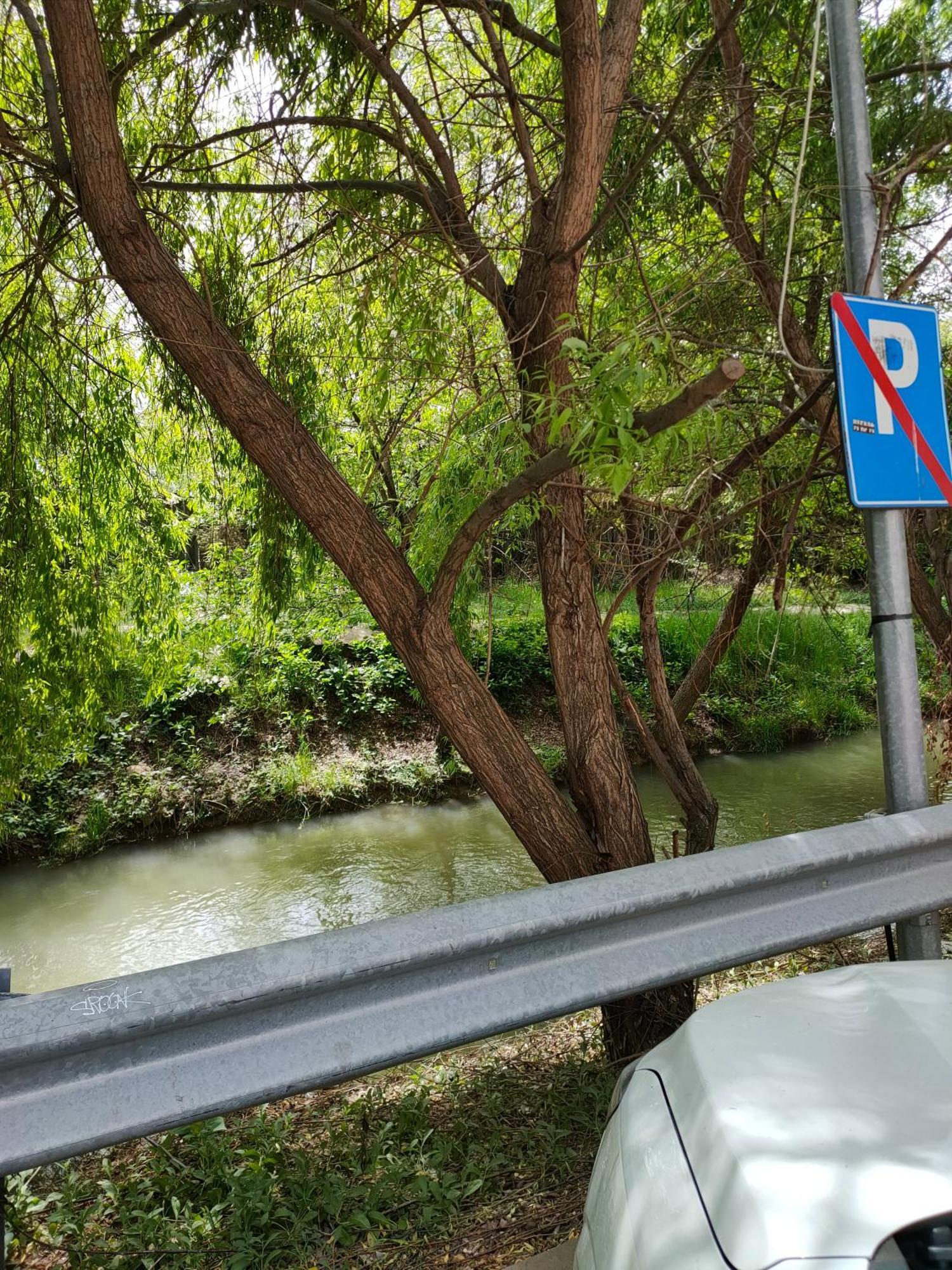 Cozy Apartment Bucharest Roşu Buitenkant foto